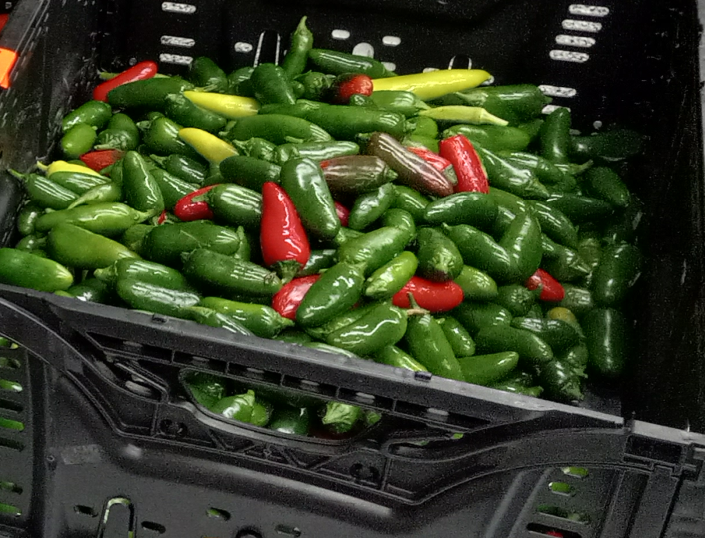 Produce Asset