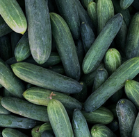 Produce Asset