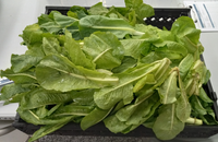 Produce Asset