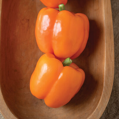 Produce Asset