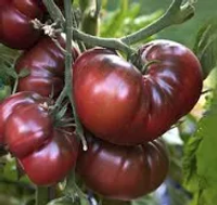 Produce Asset