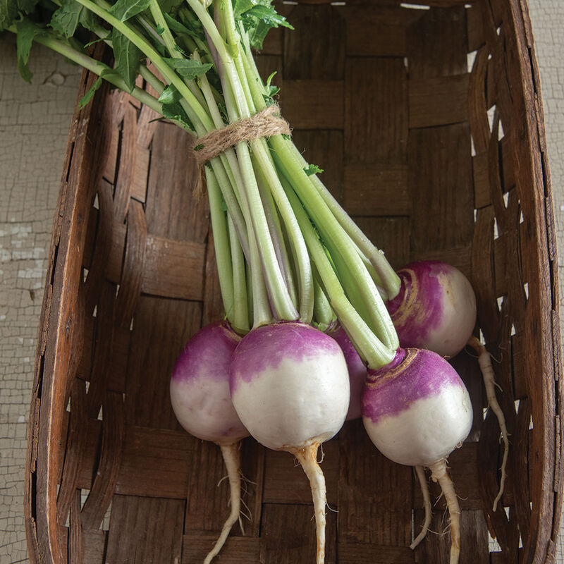 Produce Asset